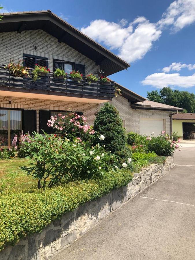 Apartamento Deno Podgrad  Exterior foto